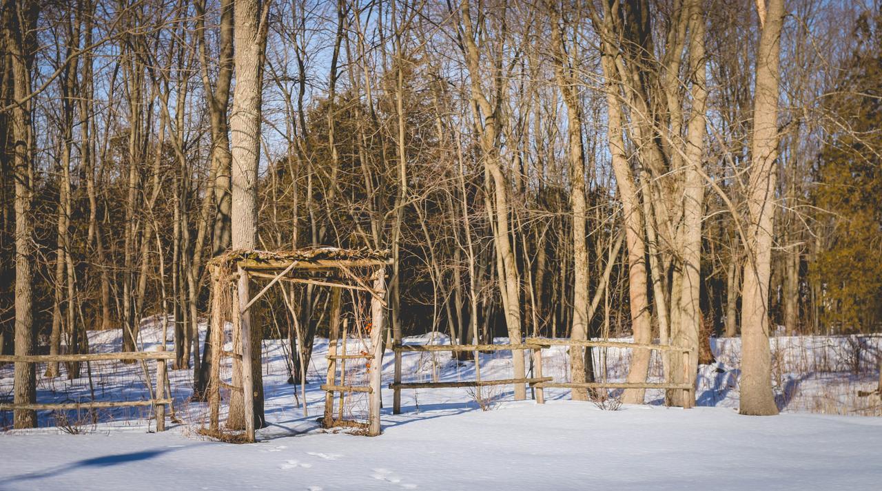 Lodge Timber House *